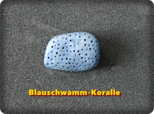 Blauschwamm-Koralle