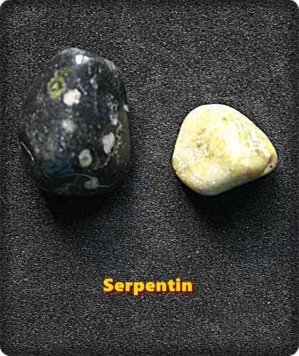 Serpentin 