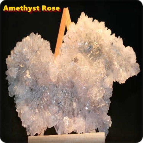 Amethyst Rose 19,5 x 13 x 1,5 cm